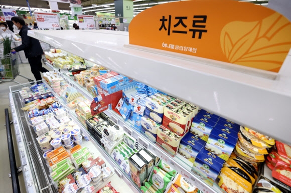 우유 가격 인상에 따라 빵, 아이스크림 등의 가격 상승으로 이어지는 ‘밀크플레이션’이 현실화 되고 있는 가운데 13일 서울의 한 대형마트에 유제품이 진열돼 있다. 2022.11.13 연합뉴스