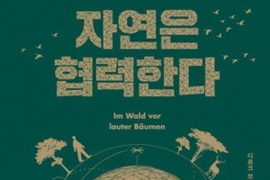 그날, 보이지 않는 ‘자연의 힘’ 알았다면 그 골목, 군중흐름을 바꿀 수 있었을까