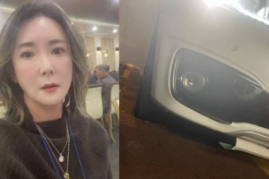 대리기사가 범퍼 부쉈다…망가진 이상아 ‘외제차’