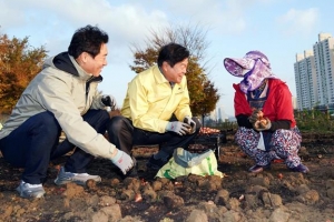 ‘꽃의 도시’ 동대문, 사계절 꽃대궐 된다