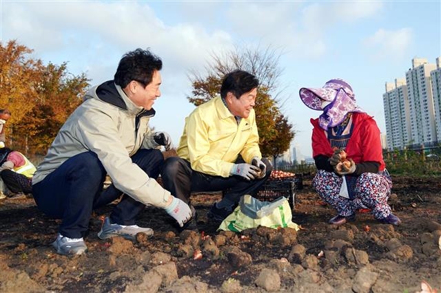 이필형(가운데) 서울 동대문구청장이 지난 17일 아침 장미와 튤립 구근 식재 작업에 참여하고 있다. 동대문구 제공