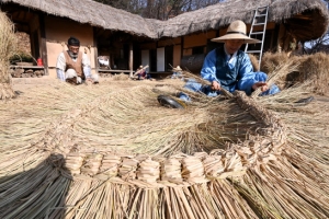 초가지붕 겨울 준비