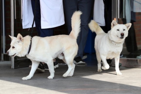 文 기르던 ‘곰이’·‘송강’, 오늘 광주 우치동물원으로