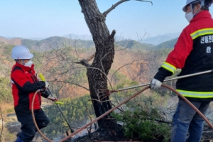 완주 승치산 산불 재발화…강풍타고 불씨 되살아났다