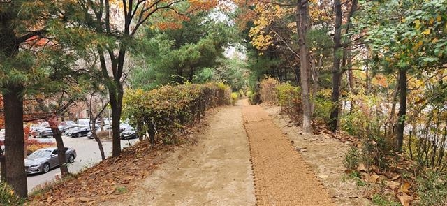 흙길과 야자매트로 새롭게 포장된 서울 양천구 목동아파트 9단지 주변 상부 산책로 모습. 양천구 제공