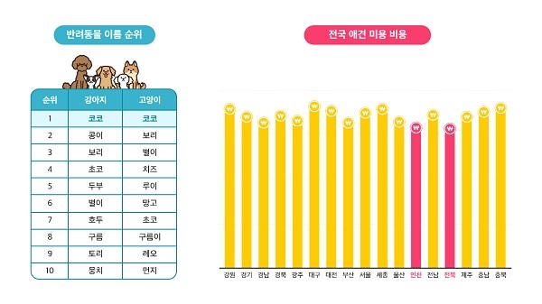 펫이지 종합 애견 플랫폼 ‘반짝’ 제공