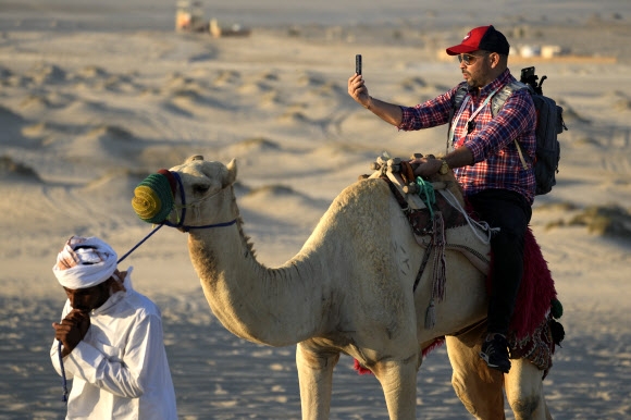 26일 카타르 메사이에에서 한 남자가 낙타를 타면서 셀카를 찍고 있다. 2022.11.30 AP연합뉴스