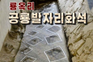 [포토] 북한에서 발견된 공룡발자국 화석