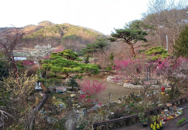 화순군 이양면 솔매음 정원.