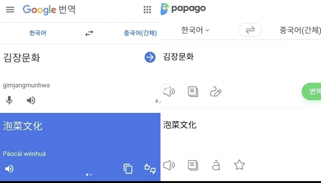 구글 번역기(왼쪽)와 네이버 번역기에서 ‘김장문화’를 입력했을때 결과. 서경덕 교수 인스타그램