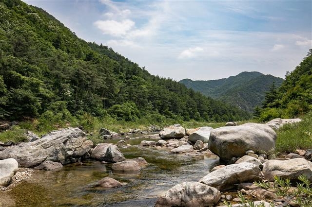 경북 울진군 불영계곡. 울진군 제공