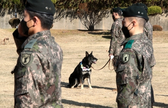 육군 제공