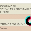“中 틱톡, 양털 뒤집어쓴 늑대” 美 주정부들 사용 규제·소송