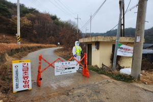 진주 오리농장서 조류인플루엔자 의심축...고병원성 여부 검사