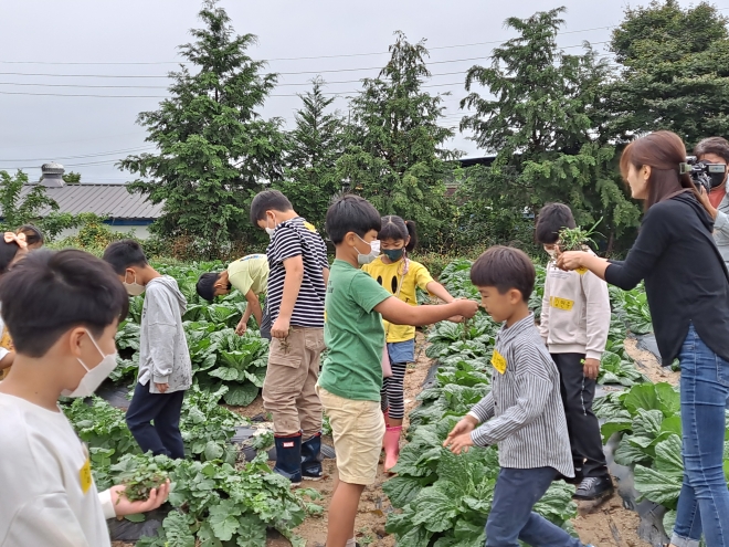 전북 농촌유학 활동사진(전북교육청 제공)