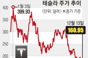 시총 5000억弗 붕괴 초읽기… 테슬라 최대 악당은 ‘머스크’