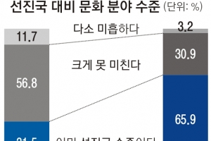 한국인 66%  “한국 문화선진국”