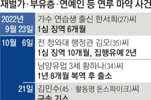 [단독] 고려제강 창업주 손자도 구속… 끝 모를 ‘부잣집 마약 네트워크’