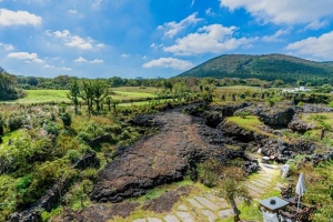 아름다운 제주, 웰니스 관광지 뜬다