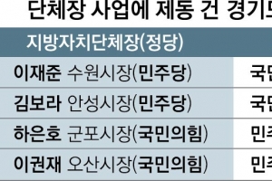 남의 당 시장 잘되는 꼴 못 봐?… 경기 기초의회에 협치는 ‘남의 얘기’