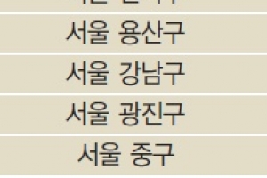 강남구 자가 비율 가장 많이 떨어졌다…전남 보성은 87%가 자가