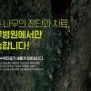 내년 6월 산림청 ‘나무의사’ 제도 대대적 변화