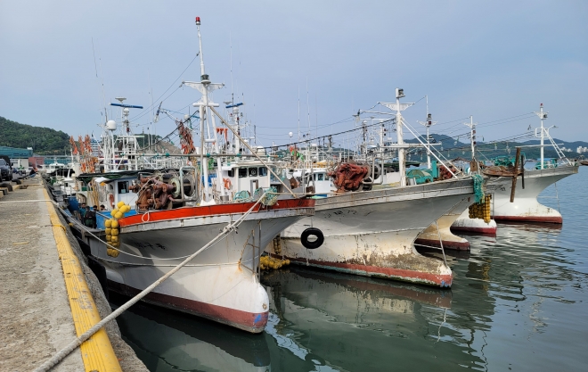 전남도는 고흥 도양읍 일원에 조선소와 검사소, 연구소 등을 집적화한 어선건조지원센터를 건립한다고 밝혔다.