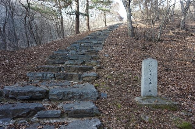 심대의 무덤으로 오르는 길. 오른쪽에 경기도 기념물로 지정하며 세운 ‘심대 장군 묘’라는 표석이 보인다.