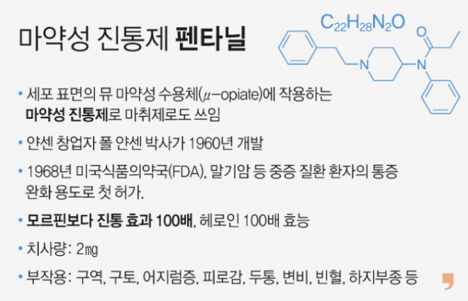 그래픽 이해영 기자