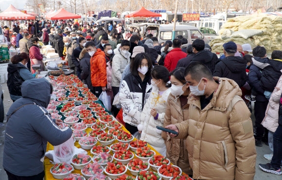 최근 중국의 코로나19 방역조치가 완화된 가운데 산둥성에서 마스크를 쓴 주민들이 신년 연휴를 맞아 시장에서 딸기를 사고 있다. 2022.1.4 신화 연합뉴스