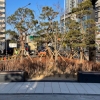 사당역 교통섬의 변신…동작구, 볼거리 있는 쉼터 조성