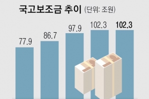 배보다 배꼽? 보조금 3억 넘으면 회계감사에 2000만원 꼭 써야