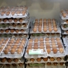 스페인산 달걀 121만개 도착, 15일부터 풀린다…산란계 농가 “비상식적”