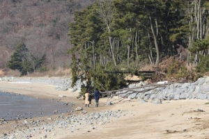 해안침식 몸살 앓는 강화 볼음도… 우물에선 짠물