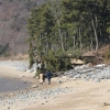 해안침식 몸살 앓는 강화 볼음도… 우물에선 짠물