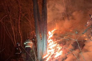 성주군 산불 17시간 39분 만에 진화…2명 부상