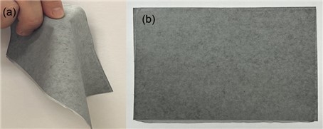 モルフォバタフライの構造と薄いポリマー層のパターンの構造の画像解析;  (a)は蝶の翅の拡大図、(b)は高分子マットの製造過程で、同じ形状でエレクトロスピニングを行うための条件を整えた結果です。