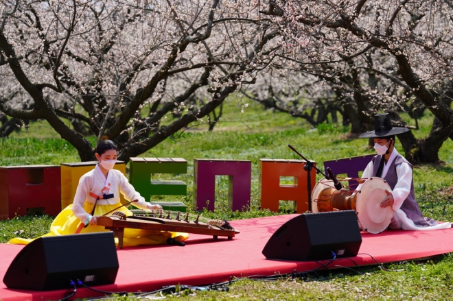 땅끝해남 매화축제 랜선 공연 모습. 해남군 제공