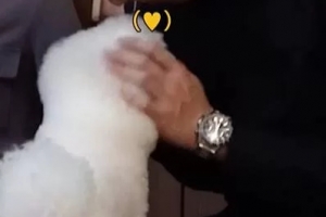 이도현, 송혜교 반려견 보자 뽀뽀♥