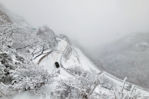 이상 한파 원인, 극지방 빙하보다 중위도 바다 영향 커