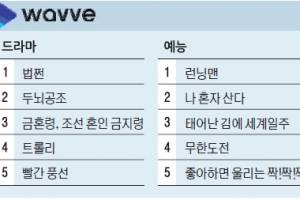 [OTT 분야별 TOP5]