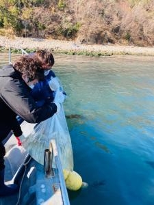 지난해 부산시 수산자원연구소 관계자가 어린 대구를 방류하는 모습. 부산시 수산자원연구소 제공