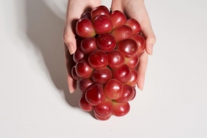 BTS딸기부터 신비복숭아까지 인기