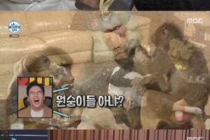 기안84, 코드쿤스트 귀청소? 무슨 일