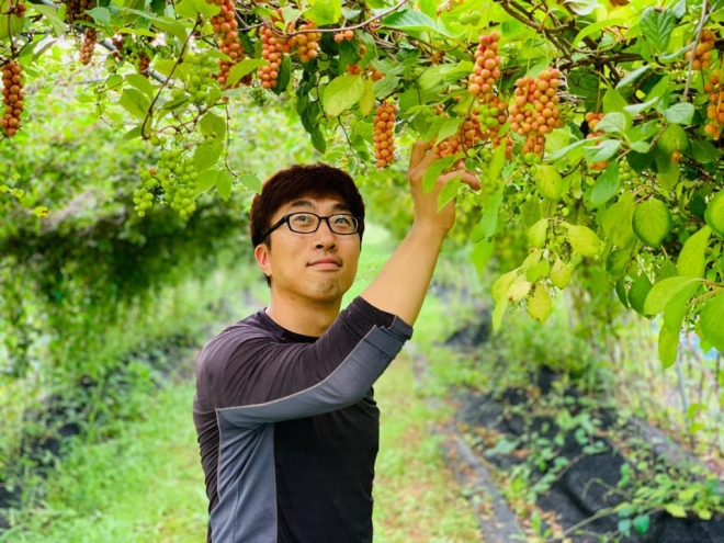 2019년 7월 강원도 양구군의 오미자밭에서 최혁진 청년농부 대표. 본인 제공