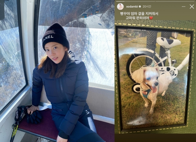 손담비 인스타그램