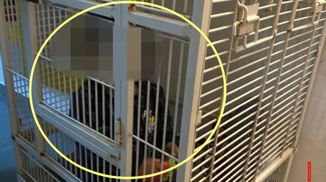 마약 단속 중이던 경찰이 새장에 갇혀 있던 1세 아이를 발견해 구조했다. 폭스뉴스 캡처