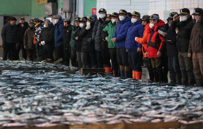 새해 첫 경매 열린 부산공동어시장