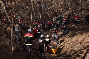 소나무재선충병 항공 방제 중지…방제 차질 우려