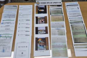 청년 전세대출 악용 151명 검거…“42억 긴급 중단”